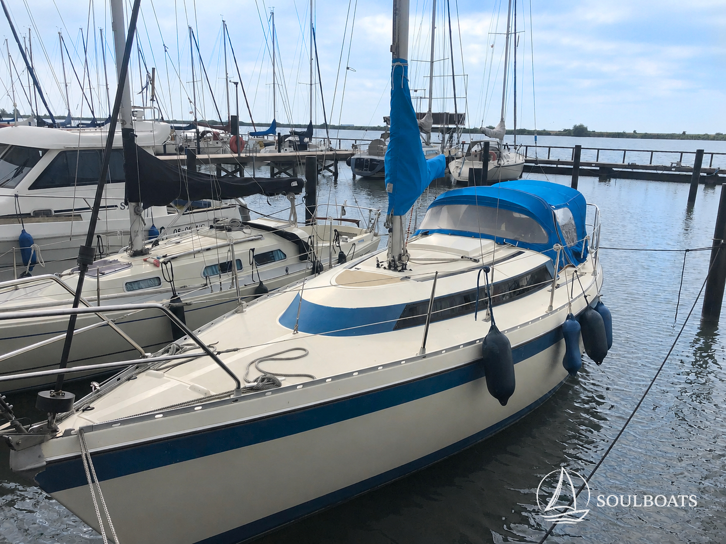 Friendship 28 Delphin im Hafen